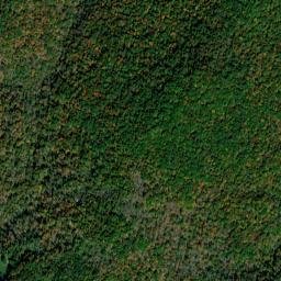 Wayne County map(satellite map)