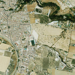 Arriate map(satellite map)