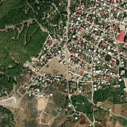 Hassa map(satellite map)
