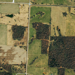 Owl Road, Neosho, MO 64850, America High Resolution Satellite Map