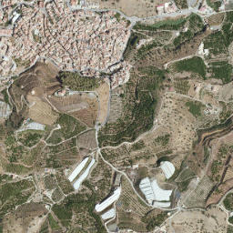 Benamocarra map(satellite map)