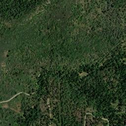 Cedarbrook California High Resolution Satellite Map