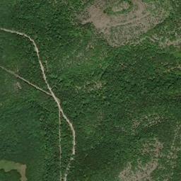 6891 Missouri 125, Mark Twain National Forest High Resolution Satellite Map