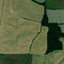 Hickman County map(satellite map)