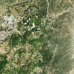 Parauta map(satellite map)