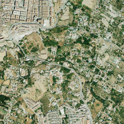 Coín map(satellite map)