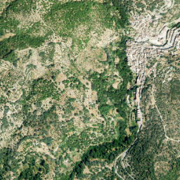 Igualeja map(satellite map)