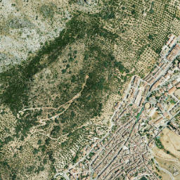 Cortes de la Frontera map(satellite map)
