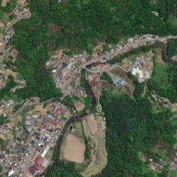 Nakajō map(satellite map)