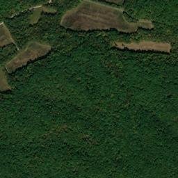 Vinson Tennessee High Resolution Satellite Map