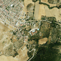 San José del Valle map(satellite map)