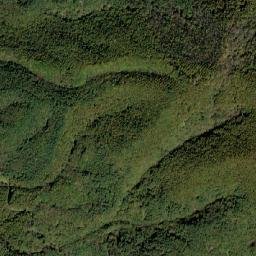 Agatsuma-gun map(satellite map)