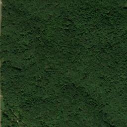 Tharpe Tennessee High Resolution Satellite Map