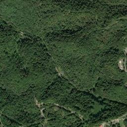 Free Hill Tennessee High Resolution Satellite Map