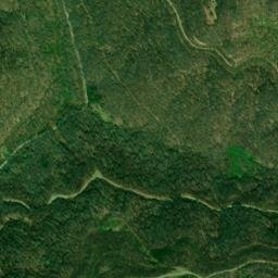 Manring Tennessee High Resolution Satellite Map