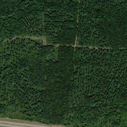 3347-3369 Highway 76, Indian Mound, TN High Resolution Satellite Map