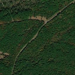 Fort Henry Tennessee High Resolution Satellite Map