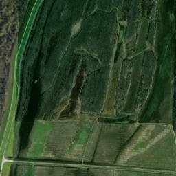 Levee Phillippy Road, Tiptonville, TN 38079 High Resolution Satellite Map