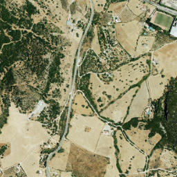 Casares map(satellite map)