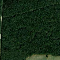 Highway 89, Palmersville, TN 38241, USA High Resolution Satellite Map