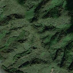 Sano-shi map(satellite map)