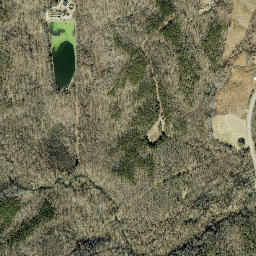 Caswell County map(satellite map)