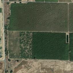 Fane California High Resolution Satellite Map