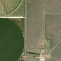 Farm to Market 1290, Gruver, TX 79040 High Resolution Satellite Map