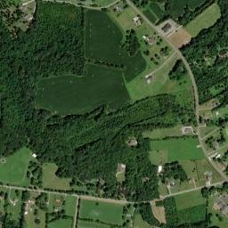 Forest Grove Tennessee High Resolution Satellite Map