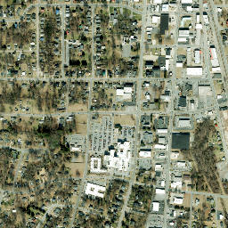 Reidsville map(satellite map)