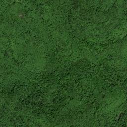 Dean Tennessee High Resolution Satellite Map