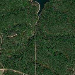 Pine Top Arkansas High Resolution Satellite Map