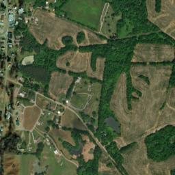 Hornbeak Tennessee High Resolution Satellite Map