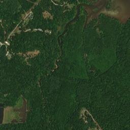 Lick Creek Tennessee High Resolution Satellite Map