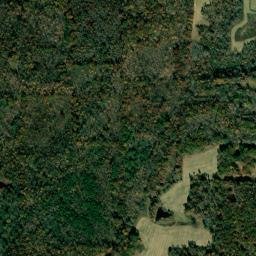 Weakley County map(satellite map)