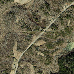 363-1047 State Road 1765, Mebane, NC High Resolution Satellite Map