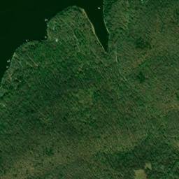 Union County map(satellite map)