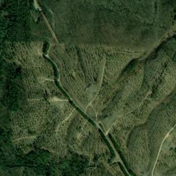 620 Burrville Rd Sunbright TN 37872 High Resolution Satellite Map