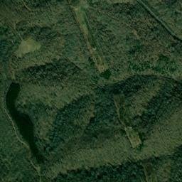 Cheatham County map(satellite map)