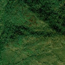 Peewee Tennessee High Resolution Satellite Map