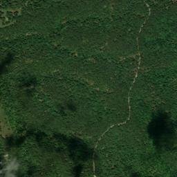 11657 Ingram Place Rd, Rogers, AR 72756 High Resolution Satellite Map