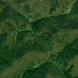 328 Prospect Road, Maynardville, TN 37807 High Resolution Satellite Map