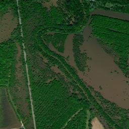 10228 Millsfield Highway, Obion, TN High Resolution Satellite Map