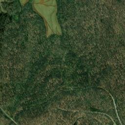 Bilbrey Tennessee High Resolution Satellite Map