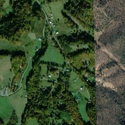 Morgan Branch Tennessee High Resolution Satellite Map