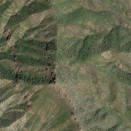 Bear Canyon Road Coalinga CA 93210 High Resolution Satellite Map