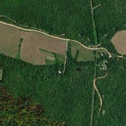 Delmar Arkansas High Resolution Satellite Map