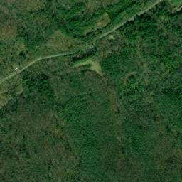 Bumpus Cove Tennessee High Resolution Satellite Map