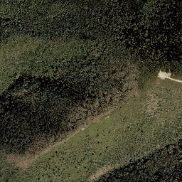 Pleasant Garden Tennessee High Resolution Satellite Map