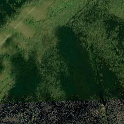 Rock Creek Road, Cherokee National Forest High Resolution Satellite Map